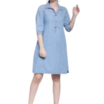 Shift Blue Dress