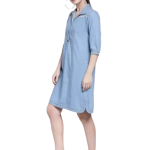 Shift Blue Dress