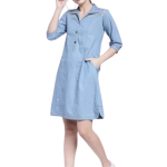 Shift Blue Dress